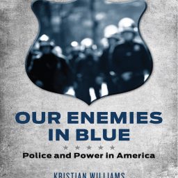 Cover art of Our Enemies in Blue